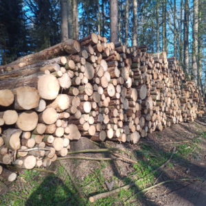 Stammholz – Nadelholz