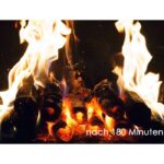 PINI KAY Buchenholzbriketts Premium 480kg - Image 9